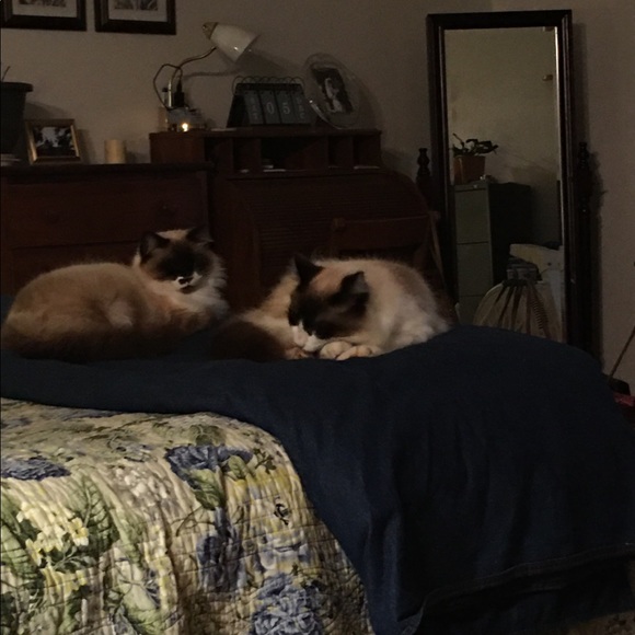 Happiness - Picture 7 of 8